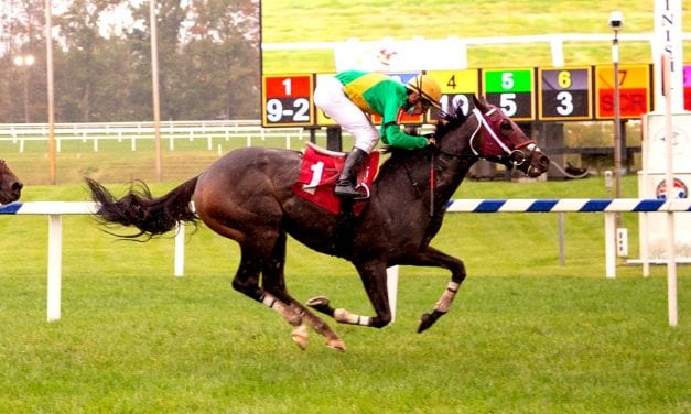 Mid-Atlantic Three Stars: October 14