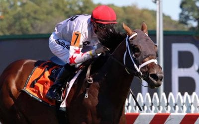 Preakness day stakes noms released