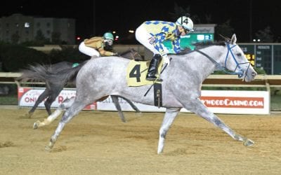 Hopping Henry looks to Stretch – and straighten – out