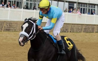 Laurel Park picks and ponderings January 9, 2021