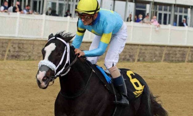 Laurel Park picks and ponderings December 19, 2020