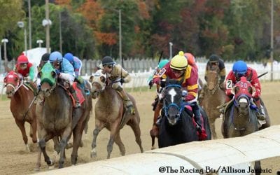 Equine fatality frequency declined in 2020