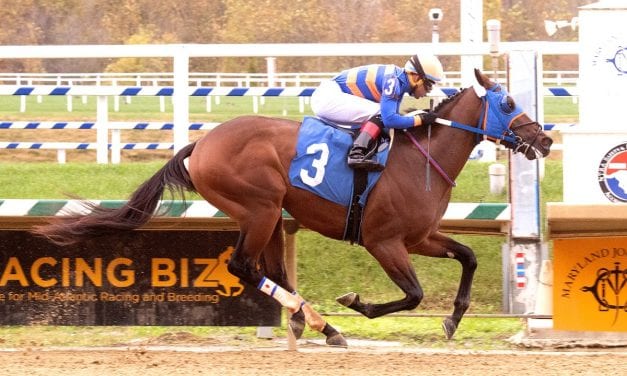 Laurel: Lugamo cruises to second straight win