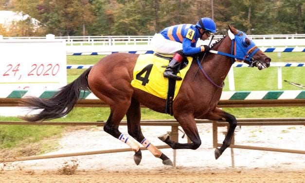 Lugamo posts sharp maiden score