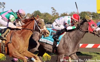 Bonny South headlines G2 Delaware Handicap
