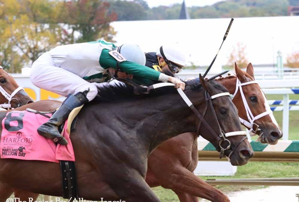 Judge tosses lawsuit challenging horseracing integrity act