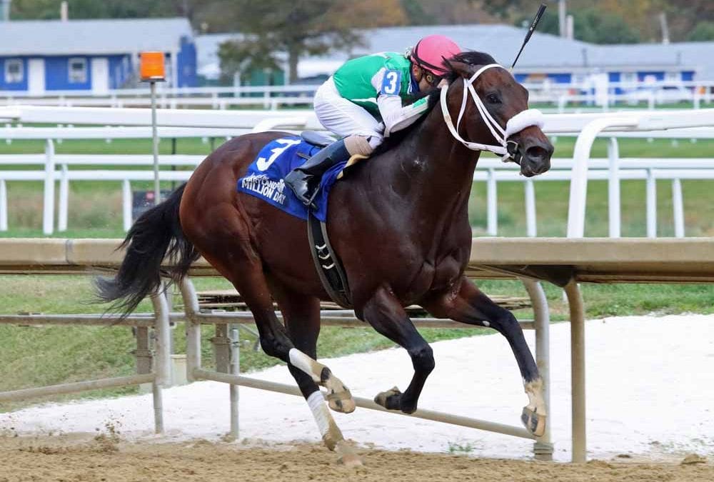 Maryland sire Imagining euthanized