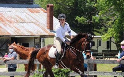 Virtual Aftercare Forum to kick off