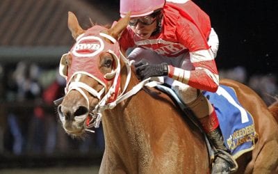 She Figures wins WVBC Distaff first off the claim