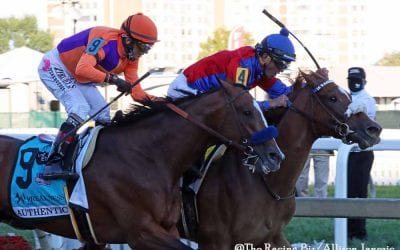 Preakness to highlight Pimlico meet