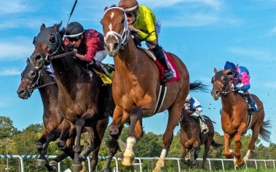 Virginia breeder program provides millions