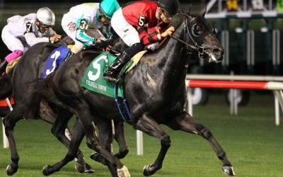 Va-owned Extravagant Kid retired