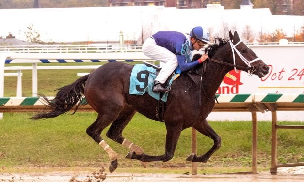 Mid-Atlantic Three Stars: November 3