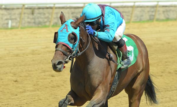 Mid-Atlantic Three Stars: November 10