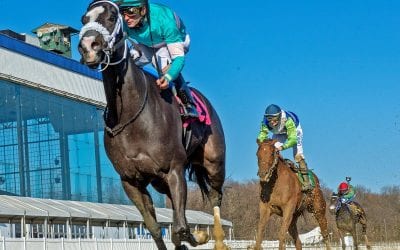 Winning and more: The week in social media