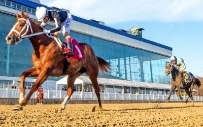 Peach Blossom Stakes draws a dozen