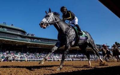 Knicks Go named Md-bred Horse of the Year