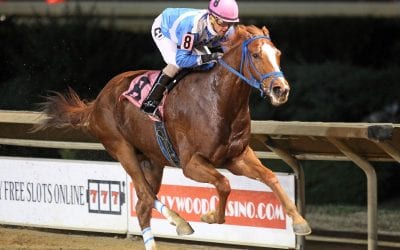 “No rush” on speedy juvenile Like Segal