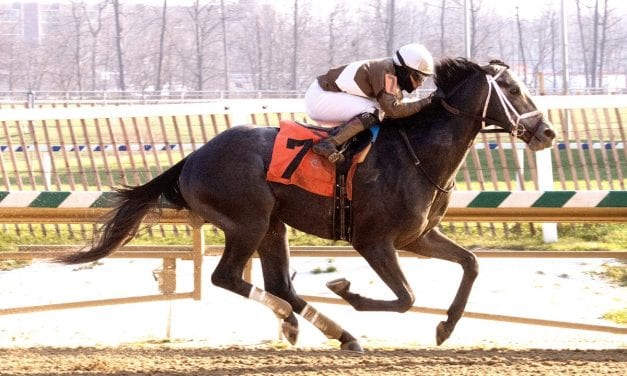 Reassured dominates in maiden score