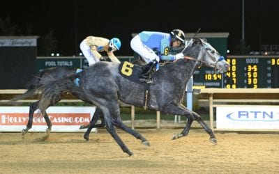 Star of Night, Fiber Sonde top WVTBA awards