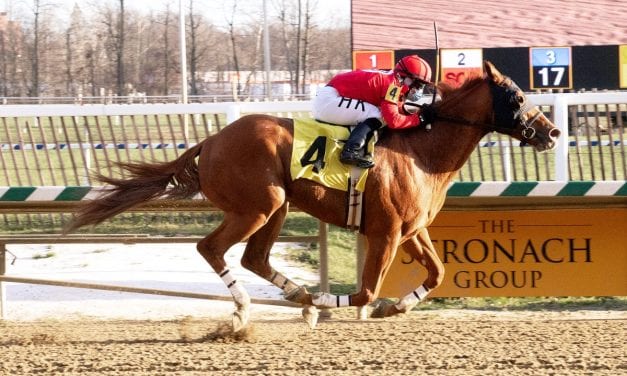 Taco Supream back in win column at Laurel