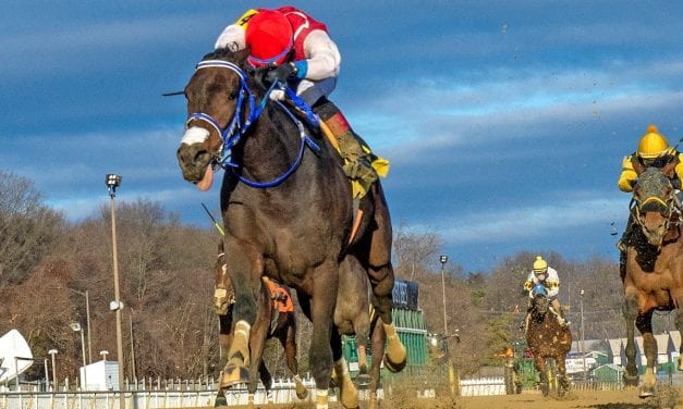 On Breeding: Paynter’s pretty pictures