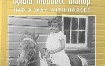 Sylvia Bishop’s way with horses