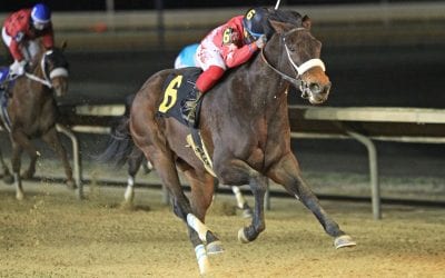 For trainer David Walters, 1,500 wins a family affair