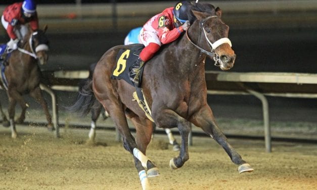 For trainer David Walters, 1,500 wins a family affair