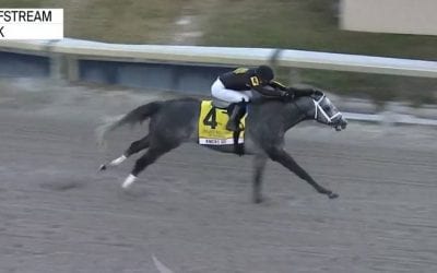 The week in social media: Jan. 29