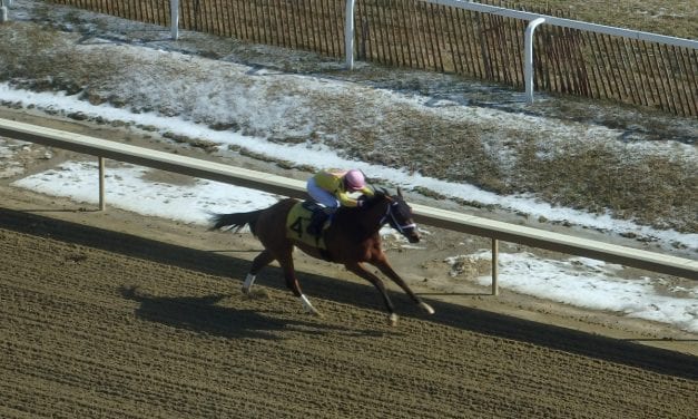 Maythehorsebwithu rolls in Miracle Wood