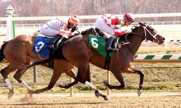 Littlestitious posts Beyond the Wire upset