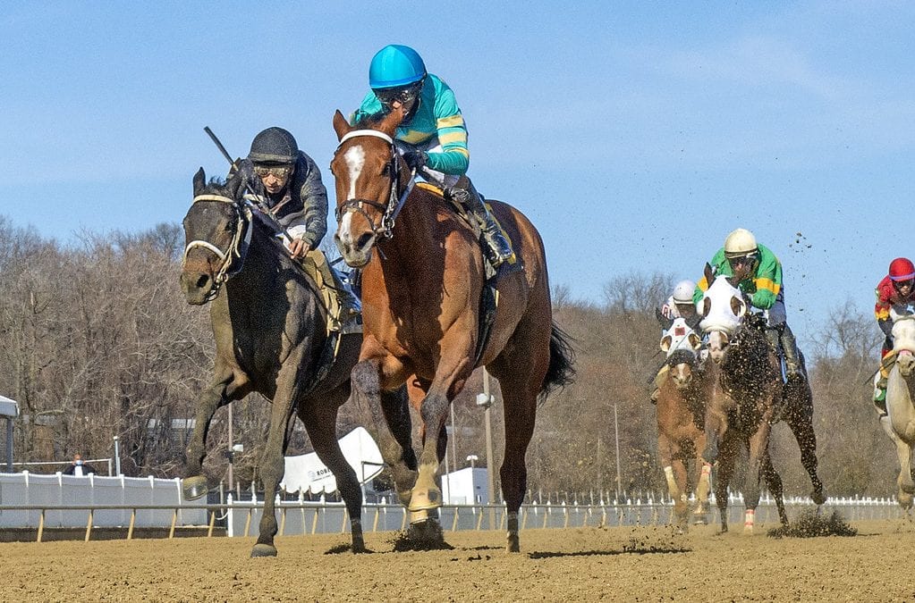 Conniver, Not for Love quick hits