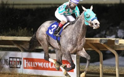 River Crosroad RVF seeking straight and narrow