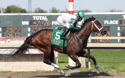 Salty group nominated to Shine Again