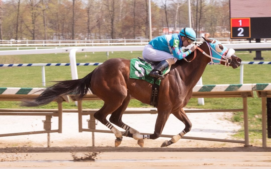 Gary Capuano to send out two in Carousel