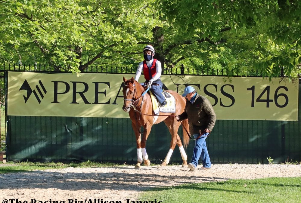 Bill Knauf to head Maryland Jockey Club