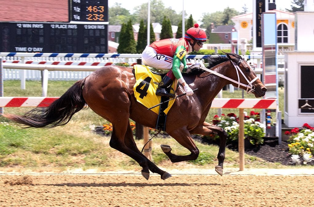 Jerry Robb has three for the money in Lewes Stakes
