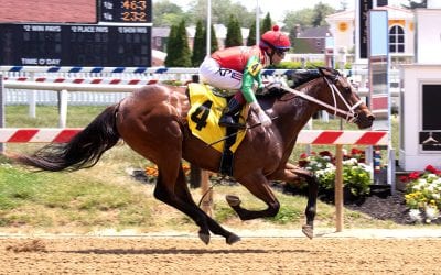 Jerry Robb has three for the money in Lewes Stakes
