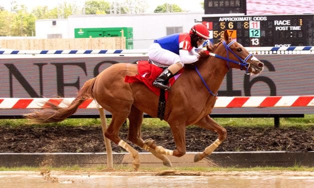 Chica Rabiosa is first Maryland 2yo winner