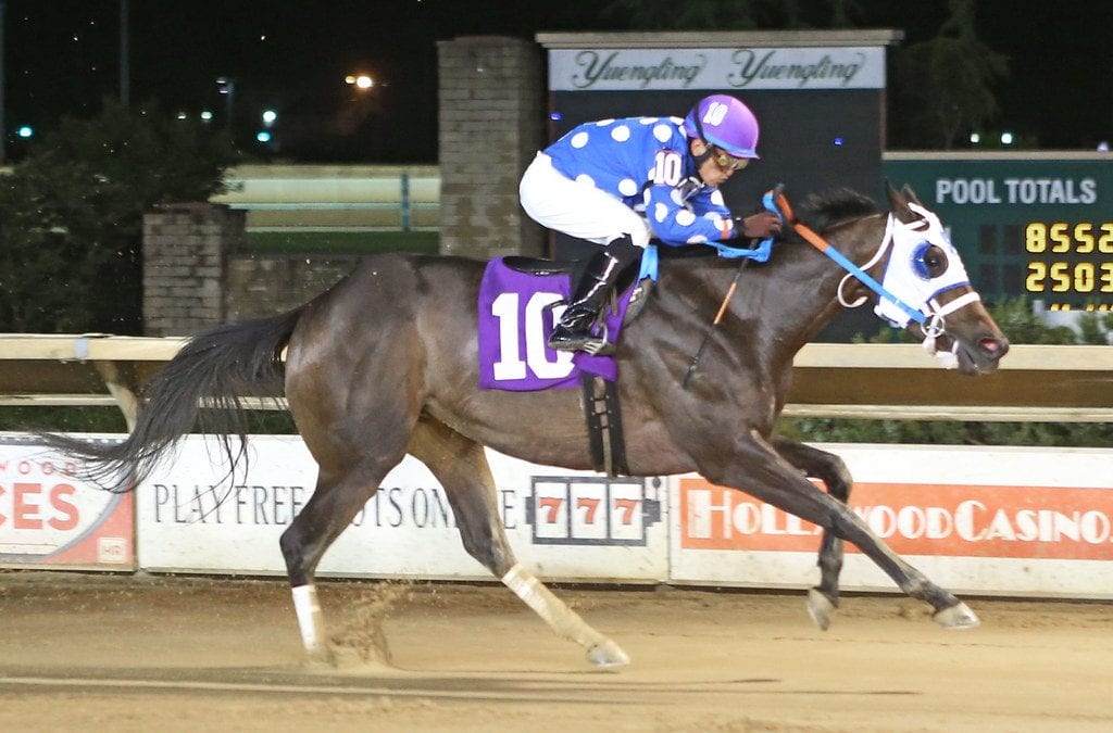 Tim Grams has tough trio for Fancy Buckles