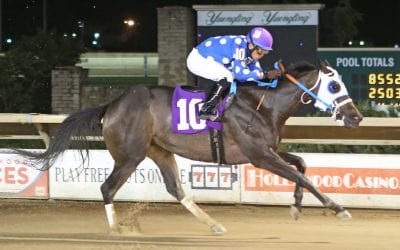 Tim Grams has tough trio for Fancy Buckles