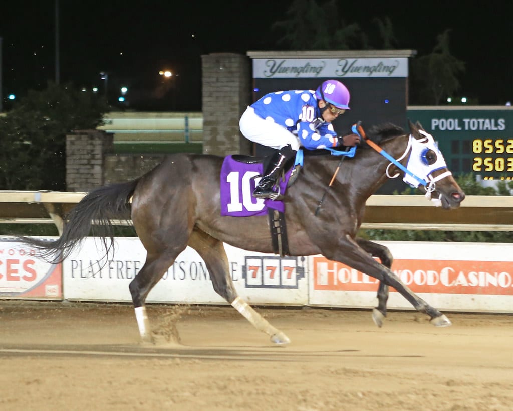 Our Diamond Girl won the Fancy Buckles Stakes. Photo by Coady Photography. Our Diamond Girl