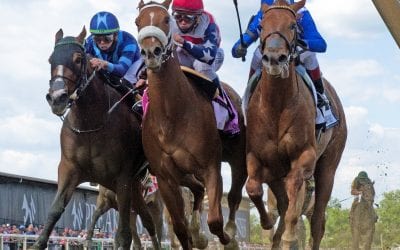 Racehorse safety summit focuses on data