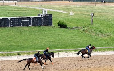 Timonium welcomes hundreds of Laurel horses