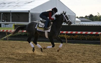 Our experts pick the Preakness