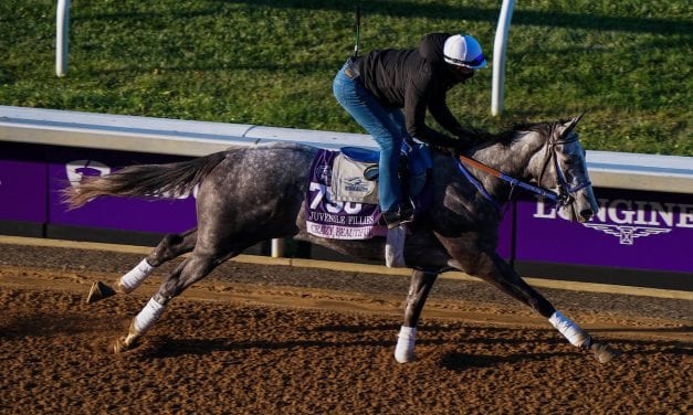 Crazy Beautiful tops G3 Delaware Oaks field