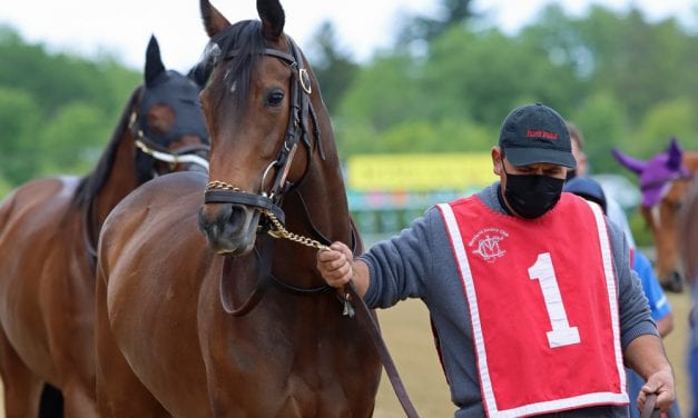 “Pretty good future” could be now for Vigilantes Way