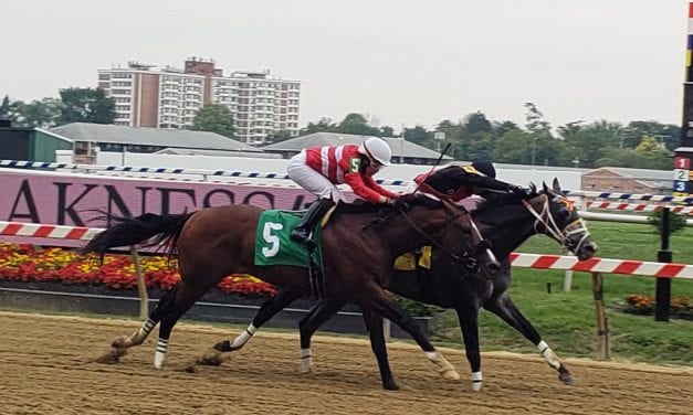 Band On Tour rounding into form as patience pays