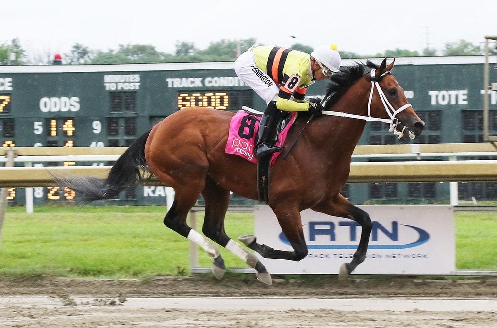 Beren looking for more in De Francis Dash